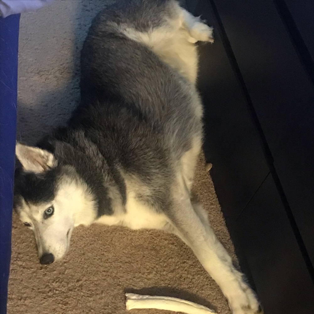 Meet your Posher, Andrea